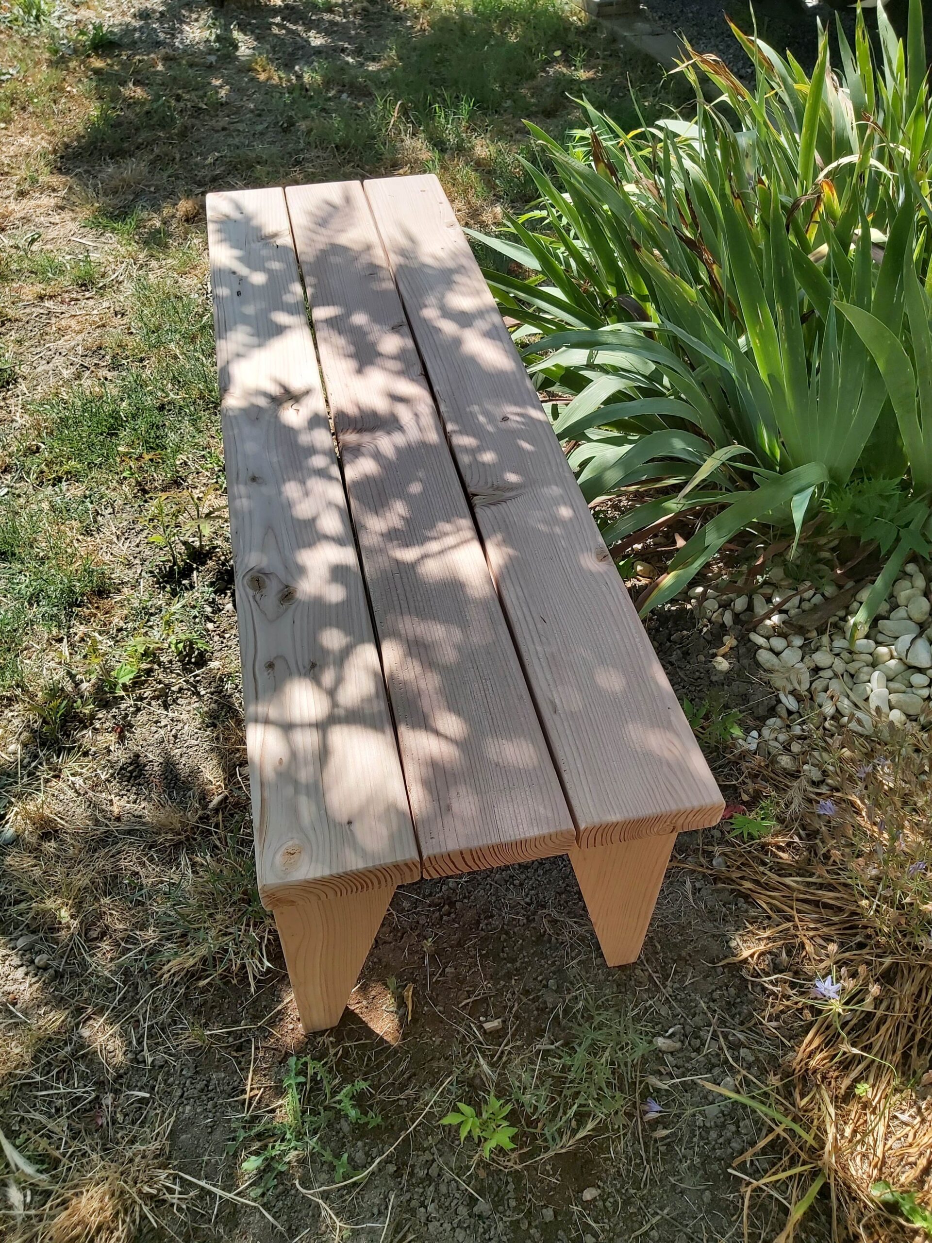 Banc Agave – Image 4