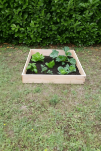 Carré potager en bois, fabriqué à Limoux par Delexter.
